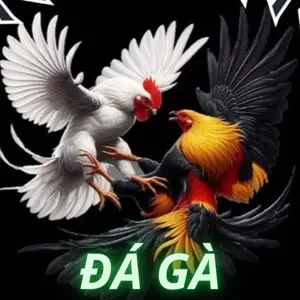 Đá gà Zbet